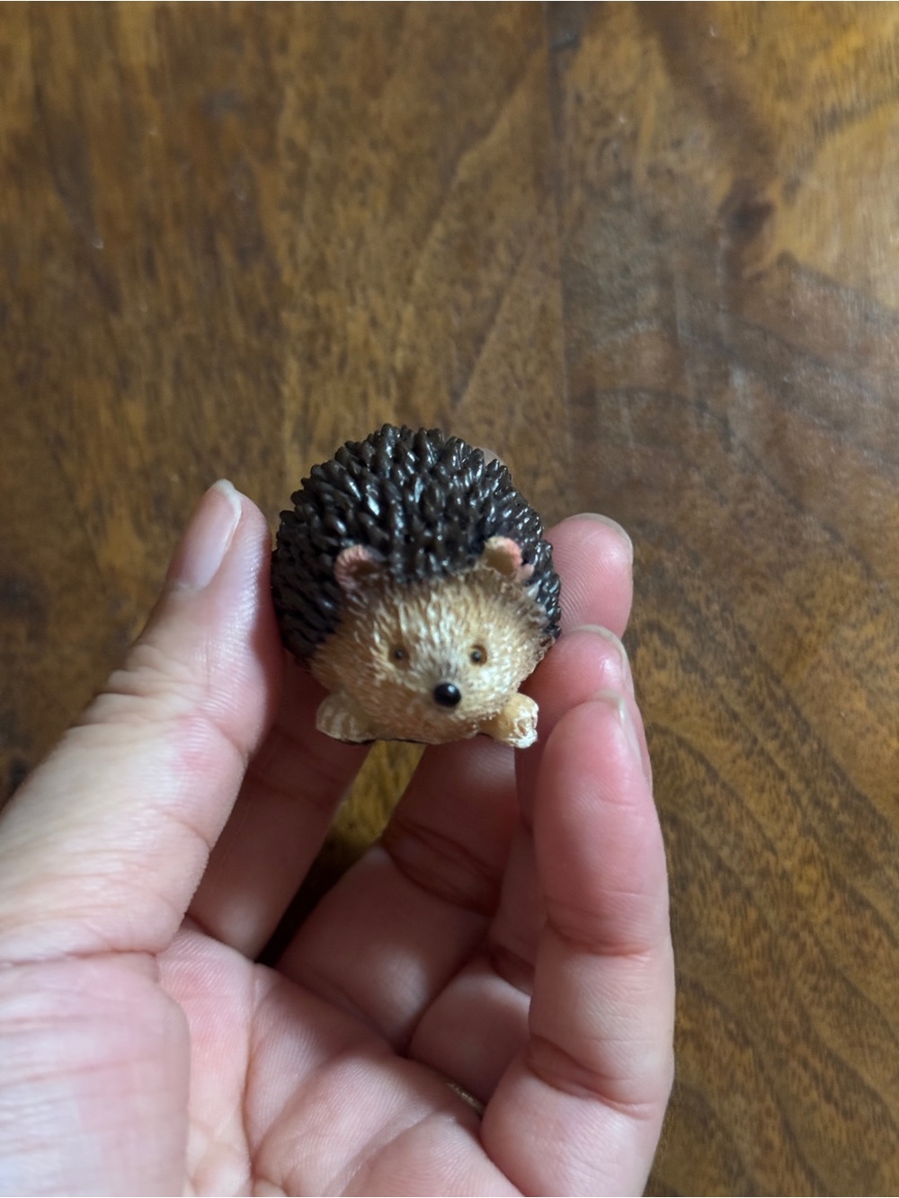 Miniature Resin Hedgehog Woodland Animal Figurine